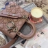 Christian Dior Lady Dior Bag CDLB4521267348900